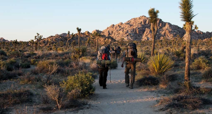 two people wearing backpacks hike along a trail away from the camera. There is a rocky mountain in the background. 